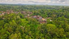 Lanskap pedesaan hijau di kaki pegunungan Nusantara yang menyajikan pemandangan asri serta udara segar bagi para pelancong yang mencari ketenangan dari hiruk-pikuk perkotaan.