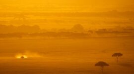 Lanskap perbukitan sabana Puru Kambera di Sumba Timur memancarkan pendar keemasan saat sinar matahari sore menyinari padang rumput yang membentang luas.