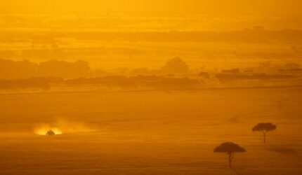 Menyapa Keheningan Sabana Sumba: Petualangan Menemukan Kedamaian Autentik di Ujung Nusa Tenggara