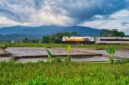Penumpang menikmati pemandangan perbukitan hijau dari dalam gerbong kereta panorama yang melintasi jalur pegunungan di Pulau Jawa.