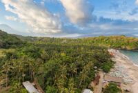 Seorang pelancong menikmati pemandangan perbukitan hijau dan pesisir pantai alami di wilayah Indonesia timur yang tenang. Perjalanan gaya lambat kini semakin diminati untuk menemukan ketenangan jiwa di tengah alam Nusantara.