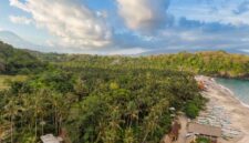 Seorang pelancong menikmati pemandangan perbukitan hijau dan pesisir pantai alami di wilayah Indonesia timur yang tenang. Perjalanan gaya lambat kini semakin diminati untuk menemukan ketenangan jiwa di tengah alam Nusantara.