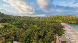 Seorang pelancong menikmati pemandangan perbukitan hijau dan pesisir pantai alami di wilayah Indonesia timur yang tenang. Perjalanan gaya lambat kini semakin diminati untuk menemukan ketenangan jiwa di tengah alam Nusantara.