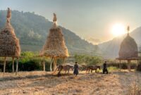 Pemandangan lanskap perbukitan eksotis Sumba saat matahari terbenam menyajikan ketenangan alami yang menjadi daya tarik utama para penjelajah Nusantara.