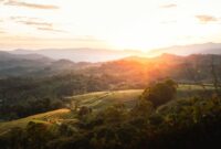 Pemandangan bukit sabana Sumba yang terhampar luas saat disiram cahaya hangat matahari terbit, menjadi salah satu destinasi favorit pelancong yang mencari kedamaian alam Nusantara.
