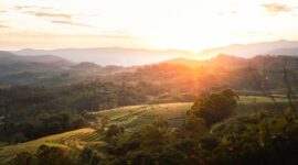 Pemandangan bukit sabana Sumba yang terhampar luas saat disiram cahaya hangat matahari terbit, menjadi salah satu destinasi favorit pelancong yang mencari kedamaian alam Nusantara.