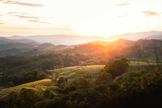 Pemandangan bukit sabana Sumba yang terhampar luas saat disiram cahaya hangat matahari terbit, menjadi salah satu destinasi favorit pelancong yang mencari kedamaian alam Nusantara.