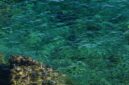 Keindahan bawah laut Kepulauan Alor dengan terumbu karang alami yang terjaga serta air laut jernih menjadi daya tarik utama bagi para pelancong pencari ketenangan.