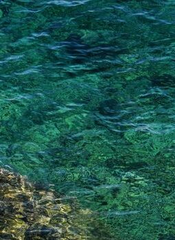 Menjelajah Kedalaman Alor Ketika Keheningan Laut NTT Mengubah Cara Kita Berlibur