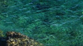 Keindahan bawah laut Kepulauan Alor dengan terumbu karang alami yang terjaga serta air laut jernih menjadi daya tarik utama bagi para pelancong pencari ketenangan.