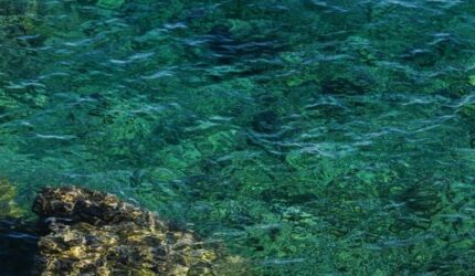 Menjelajah Kedalaman Alor Ketika Keheningan Laut NTT Mengubah Cara Kita Berlibur