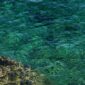 Keindahan bawah laut Kepulauan Alor dengan terumbu karang alami yang terjaga serta air laut jernih menjadi daya tarik utama bagi para pelancong pencari ketenangan.