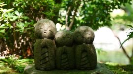 Taman lumut ikonik di Kuil Sanzen-in, Desa Ohara, Kyoto, menyajikan suasana tenang dengan patung batu Jizo yang tersebar di antara pepohonan cedar rindang.