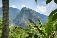 Pemandangan lanskap hijau hutan hujan tropis Indonesia yang asri dan menjadi destinasi favorit wisatawan untuk memulihkan ketenangan pikiran dari kejenuhan kota.