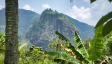 Pemandangan lanskap hijau hutan hujan tropis Indonesia yang asri dan menjadi destinasi favorit wisatawan untuk memulihkan ketenangan pikiran dari kejenuhan kota.