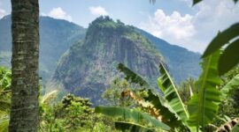 Pemandangan lanskap hijau hutan hujan tropis Indonesia yang asri dan menjadi destinasi favorit wisatawan untuk memulihkan ketenangan pikiran dari kejenuhan kota.