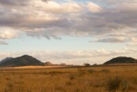 Hamparan bukit savana Sumba yang hijau menyajikan pemandangan alam menakjubkan sekaligus suasana tenang yang memulihkan energi para wisatawan.