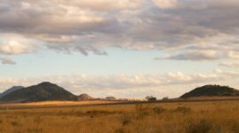 Hamparan bukit savana Sumba yang hijau menyajikan pemandangan alam menakjubkan sekaligus suasana tenang yang memulihkan energi para wisatawan.