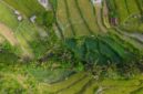 Pemandangan lanskap pematang sawah yang hijau di kawasan pedesaan Indonesia menawarkan ketenangan alami bagi para wisatawan yang mendambakan rehat dari hiruk-pikuk perkotaan.