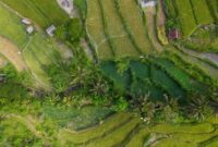 Pemandangan lanskap pematang sawah yang hijau di kawasan pedesaan Indonesia menawarkan ketenangan alami bagi para wisatawan yang mendambakan rehat dari hiruk-pikuk perkotaan.