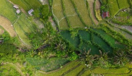 Menjelajah Keheningan Desa Wisata: Tren Slow Travel yang Menyembuhkan Jiwa Pelancong Urban