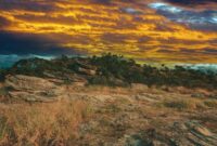 Hamparan bukit savana Sumba Timur berwarna keemasan di bawah naungan sinar matahari sore, menyajikan panorama khas kepulauan Nusa Tenggara Timur saat puncak musim kemarau.