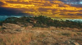 Hamparan bukit savana Sumba Timur berwarna keemasan di bawah naungan sinar matahari sore, menyajikan panorama khas kepulauan Nusa Tenggara Timur saat puncak musim kemarau.