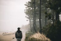 Seorang pelancong menikmati ketenangan jalur lanskap hutan berudara sejuk di kawasan Eropa Utara, yang kini menjadi salah satu destinasi incaran utama dalam tren wisata global tahun 2026.