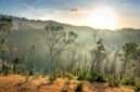 Pemandangan matahari terbit yang memancar di atas perbukitan savana Sumba, Nusa Tenggara Timur, menyajikan ketenangan alam yang ideal untuk pemulihan jiwa dari kejenuhan perkotaan.