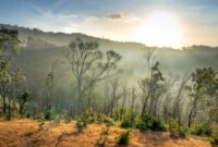 Pemandangan matahari terbit yang memancar di atas perbukitan savana Sumba, Nusa Tenggara Timur, menyajikan ketenangan alam yang ideal untuk pemulihan jiwa dari kejenuhan perkotaan.