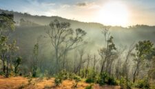 Pemandangan matahari terbit yang memancar di atas perbukitan savana Sumba, Nusa Tenggara Timur, menyajikan ketenangan alam yang ideal untuk pemulihan jiwa dari kejenuhan perkotaan.