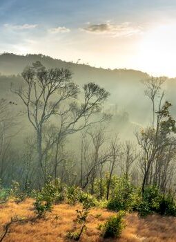 Menjelajah Sudut Tersembunyi Sumba dan Labuan Bajo untuk Menemukan Ketenangan Jiwa yang Hakiki