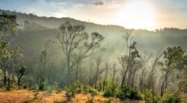 Pemandangan matahari terbit yang memancar di atas perbukitan savana Sumba, Nusa Tenggara Timur, menyajikan ketenangan alam yang ideal untuk pemulihan jiwa dari kejenuhan perkotaan.
