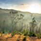 Pemandangan matahari terbit yang memancar di atas perbukitan savana Sumba, Nusa Tenggara Timur, menyajikan ketenangan alam yang ideal untuk pemulihan jiwa dari kejenuhan perkotaan.