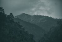Jembatan Kazurabashi yang terbuat dari jalinan tanaman merambat melintasi sungai berair jernih di Lembah Iya, Shikoku, Jepang. Kawasan pedesaan terpencil ini menjadi pelarian favorit pelancong yang menginginkan suasana tenang jauh dari keramaian kota besar.