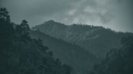 Jembatan Kazurabashi yang terbuat dari jalinan tanaman merambat melintasi sungai berair jernih di Lembah Iya, Shikoku, Jepang. Kawasan pedesaan terpencil ini menjadi pelarian favorit pelancong yang menginginkan suasana tenang jauh dari keramaian kota besar.