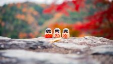 Pemandangan pedesaan tradisional di kawasan Miyama, Kyoto, yang menawarkan suasana tenang dan keindahan arsitektur atap jerami khas Jepang.