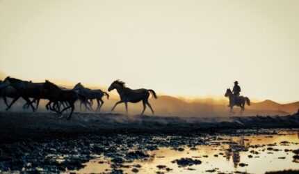 Menjelajahi Pesona Lembah Sumba dan Tren Wisata Perlahan bagi Pelancong Perkotaan Indonesia
