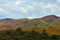Hamparan padang savana keemasan di Sumba menyajikan panorama alam memukau yang dipadukan dengan konsep pariwisata ramah lingkungan dan pelestarian budaya lokal.