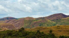 Hamparan padang savana keemasan di Sumba menyajikan panorama alam memukau yang dipadukan dengan konsep pariwisata ramah lingkungan dan pelestarian budaya lokal.