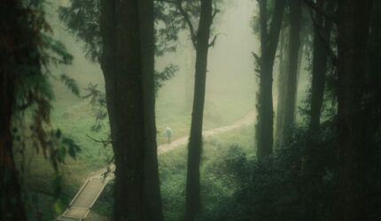 Arah Baru Tren Wisata Global 2026 Melampaui Liburan Populer Demi Pemulihan Diri dan Bumi