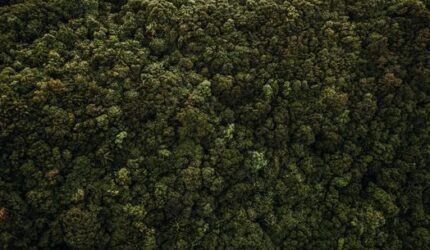 Menjelajah Pelosok Nusantara: Meresapi Keasrian Alam Indonesia yang Menentramkan Jiwa