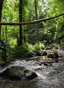 Menjelajah Surga Tersembunyi Nusantara Melalui Tren Wisata Lambat yang Menenangkan Jiwa