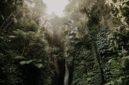 Pemandangan lanskap hutan tropis Indonesia yang asri dan dialiri sungai jernih menjadi destinasi favorit bagi para pelancong yang mendambakan ketenangan alam serta pengalaman wisata berkelanjutan.