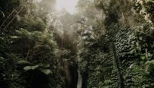 Pemandangan lanskap hutan tropis Indonesia yang asri dan dialiri sungai jernih menjadi destinasi favorit bagi para pelancong yang mendambakan ketenangan alam serta pengalaman wisata berkelanjutan.