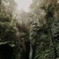 Pemandangan lanskap hutan tropis Indonesia yang asri dan dialiri sungai jernih menjadi destinasi favorit bagi para pelancong yang mendambakan ketenangan alam serta pengalaman wisata berkelanjutan.