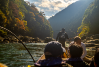 Deretan rumah panggung kayu Funaya yang ikonik berjejer rapi di tepi Teluk Ine, Prefektur Kyoto, menawarkan suasana tenang bagi wisatawan yang mencari pengalaman wisata hening di pedesaan Jepang.