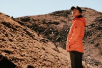 Seorang pendaki berdiri menatap megahnya gugusan puncak granit Torres del Paine di Chile yang dikelilingi lanskap subpolar liar dan danau glasial.