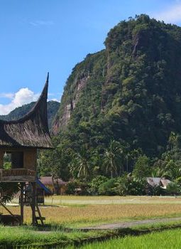 Menemukan Kedamaian Otentik di Celah Lembah Harau Sumatra Barat
