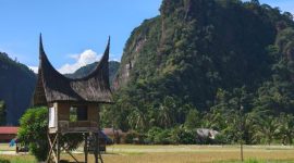 Pemandangan megah tebing batu kapur di Lembah Harau yang memagari kawasan persawahan hijau milik warga lokal Sumatra Barat.